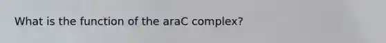 What is the function of the araC complex?