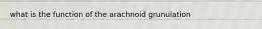 what is the function of the arachnoid grunulation