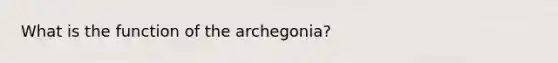 What is the function of the archegonia?