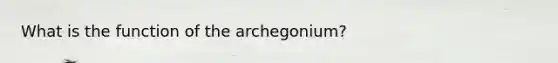 What is the function of the archegonium?