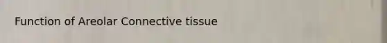 Function of Areolar Connective tissue