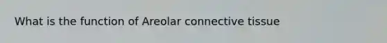 What is the function of Areolar connective tissue