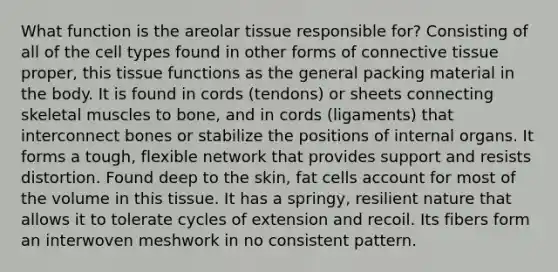 What function is the areolar tissue responsible for? Consisting of all of the cell types found in other forms of connective tissue proper, this tissue functions as the general packing material in the body. It is found in cords (tendons) or sheets connecting skeletal muscles to bone, and in cords (ligaments) that interconnect bones or stabilize the positions of internal organs. It forms a tough, flexible network that provides support and resists distortion. Found deep to the skin, fat cells account for most of the volume in this tissue. It has a springy, resilient nature that allows it to tolerate cycles of extension and recoil. Its fibers form an interwoven meshwork in no consistent pattern.