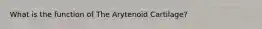 What is the function of The Arytenoid Cartilage?