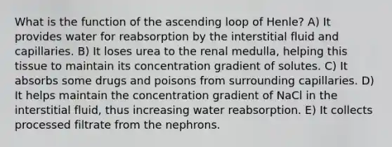 What is the function of the ascending loop of Henle? A) It provides water for reabsorption by the interstitial fluid and capillaries. B) It loses urea to the renal medulla, helping this tissue to maintain its concentration gradient of solutes. C) It absorbs some drugs and poisons from surrounding capillaries. D) It helps maintain the concentration gradient of NaCl in the interstitial fluid, thus increasing water reabsorption. E) It collects processed filtrate from the nephrons.