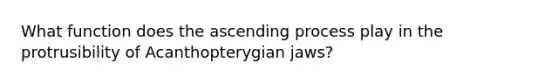 What function does the ascending process play in the protrusibility of Acanthopterygian jaws?