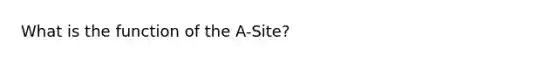 What is the function of the A-Site?