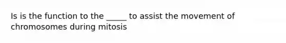 Is is the function to the _____ to assist the movement of chromosomes during mitosis