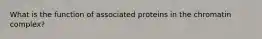 What is the function of associated proteins in the chromatin complex?