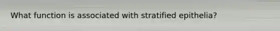 What function is associated with stratified epithelia?