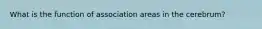 What is the function of association areas in the cerebrum?