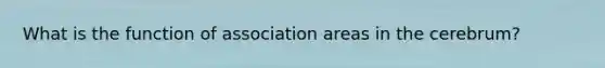 What is the function of association areas in the cerebrum?