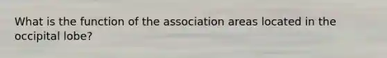 What is the function of the association areas located in the occipital lobe?