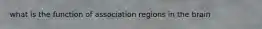 what is the function of association regions in the brain