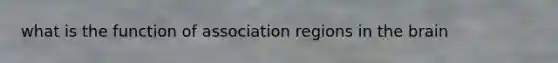 what is the function of association regions in the brain