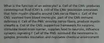 What is the function of an astrocyte? a. Cell of the CNS: produces cerebrospinal fluid (CSF) b. cell of the CNs: possesses processes that form myelin sheaths around CNS nerve fibers c. Cell of the CNS: evolved from blood monocyte, part of the CNS immune defenses d. Cell of the PNS: envelop nerve fibers, produce myelin sheaths e. Cell of the CNS: supportive framework for neurons, stimulate blood-brain barrier, supplies food to neurons, influence synaptic signaling f. Cell of the PNS: surround the neurosoma in ganglia, provides insulation and regulates chemical environment