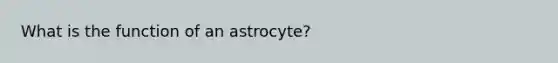 What is the function of an astrocyte?