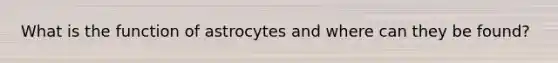 What is the function of astrocytes and where can they be found?