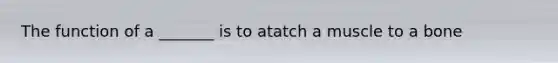 The function of a _______ is to atatch a muscle to a bone