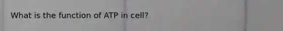 What is the function of ATP in cell?