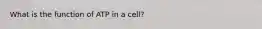 What is the function of ATP in a cell?