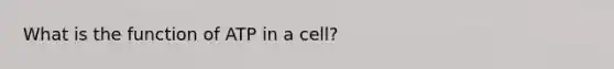 What is the function of ATP in a cell?