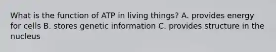 What is the function of ATP in living things? A. provides energy for cells B. stores genetic information C. provides structure in the nucleus