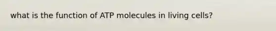 what is the function of ATP molecules in living cells?