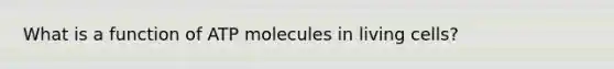 What is a function of ATP molecules in living cells?