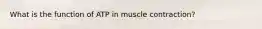 What is the function of ATP in muscle contraction?