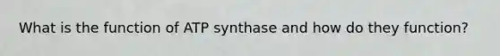 What is the function of ATP synthase and how do they function?