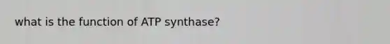 what is the function of ATP synthase?