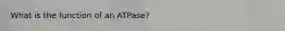 What is the function of an ATPase?