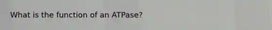 What is the function of an ATPase?