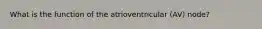 What is the function of the atrioventricular (AV) node?