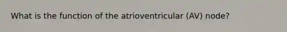 What is the function of the atrioventricular (AV) node?