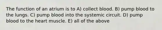 The function of an atrium is to A) collect blood. B) pump blood to the lungs. C) pump blood into the systemic circuit. D) pump blood to <a href='https://www.questionai.com/knowledge/kya8ocqc6o-the-heart' class='anchor-knowledge'>the heart</a> muscle. E) all of the above