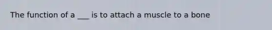 The function of a ___ is to attach a muscle to a bone