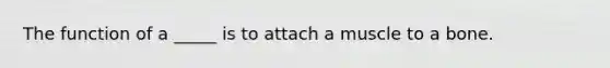 The function of a _____ is to attach a muscle to a bone.
