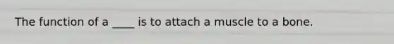 The function of a ____ is to attach a muscle to a bone.