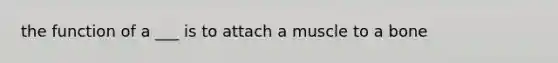 the function of a ___ is to attach a muscle to a bone