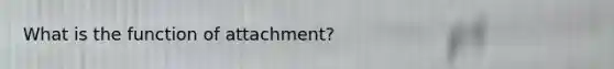 What is the function of attachment?