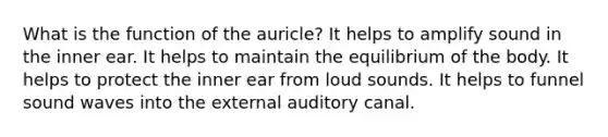 What is the function of the auricle? It helps to amplify sound in the inner ear. It helps to maintain the equilibrium of the body. It helps to protect the inner ear from loud sounds. It helps to funnel sound waves into the external auditory canal.