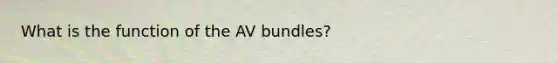 What is the function of the AV bundles?