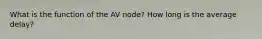 What is the function of the AV node? How long is the average delay?