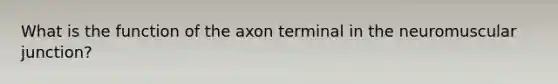 What is the function of the axon terminal in the neuromuscular junction?