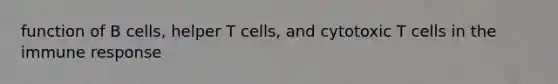 function of B cells, helper T cells, and cytotoxic T cells in the immune response