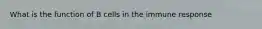 What is the function of B cells in the immune response