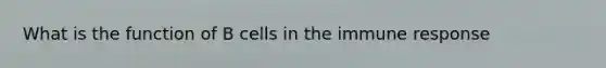 What is the function of B cells in the immune response