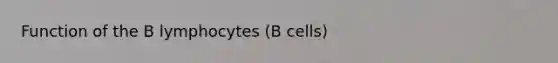 Function of the B lymphocytes (B cells)